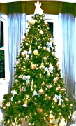 albero-di-natale 19 lista